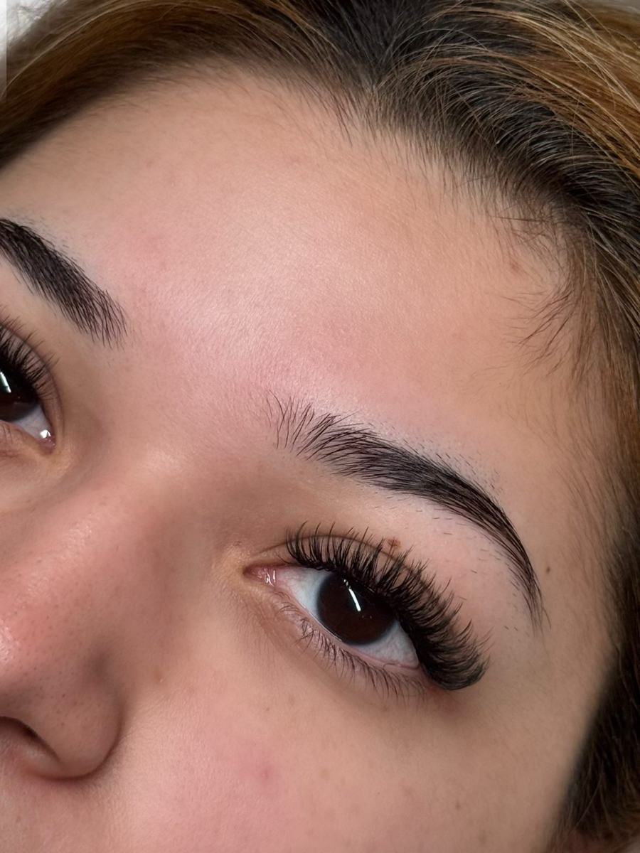 A fresh full set of lash extensions on a brown eye